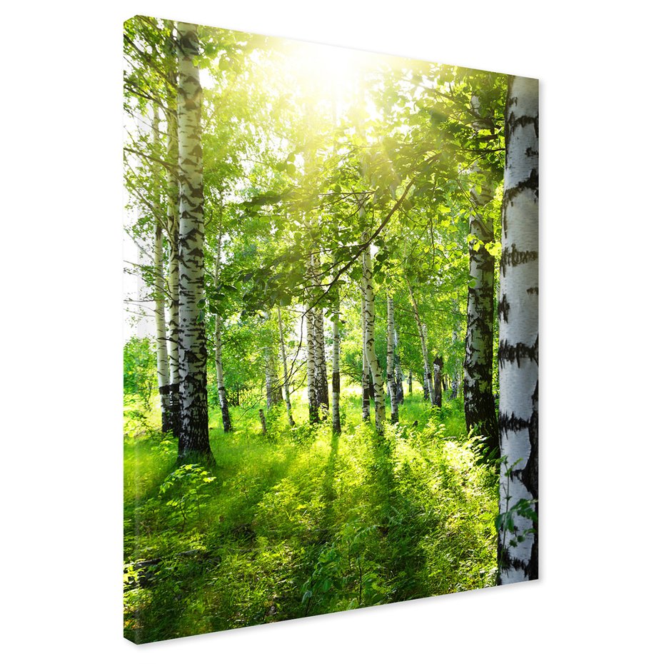 Obraz na płótnie - las, brzozy, natura