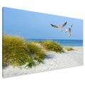 Obraz na płótnie - plaża, mewy, morze