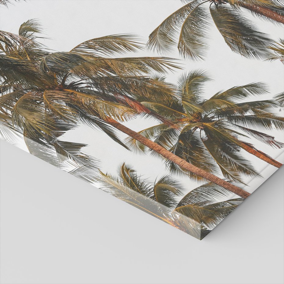 Obraz na płótnie - palmy, tropiki, liście