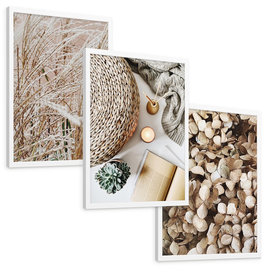 Zestaw obrazy w ramie, plakaty - roślina, beżowy, dekoracja - rama biała