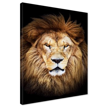 Obraz na płótnie - lew, portret, zwierzę