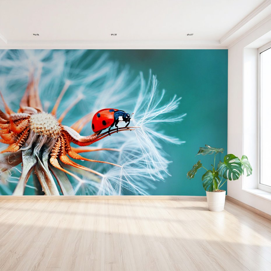 Fototapeta - biedronka, kwiat, natura