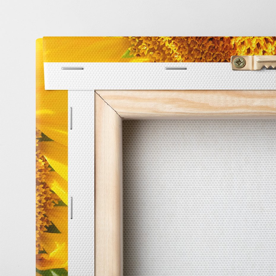 Obraz na płótnie - słonecznik, kwiat, żółty