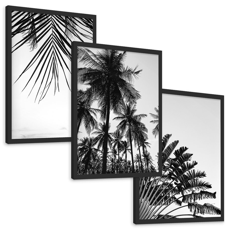 Zestaw obrazy w ramie, plakaty - palmy, liście, tropikalne - rama czarna