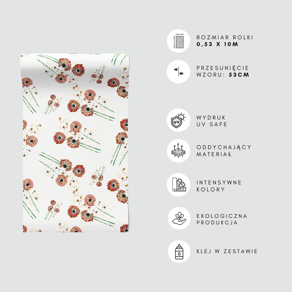 Tapeta - kwiaty, dmuchawce, natura