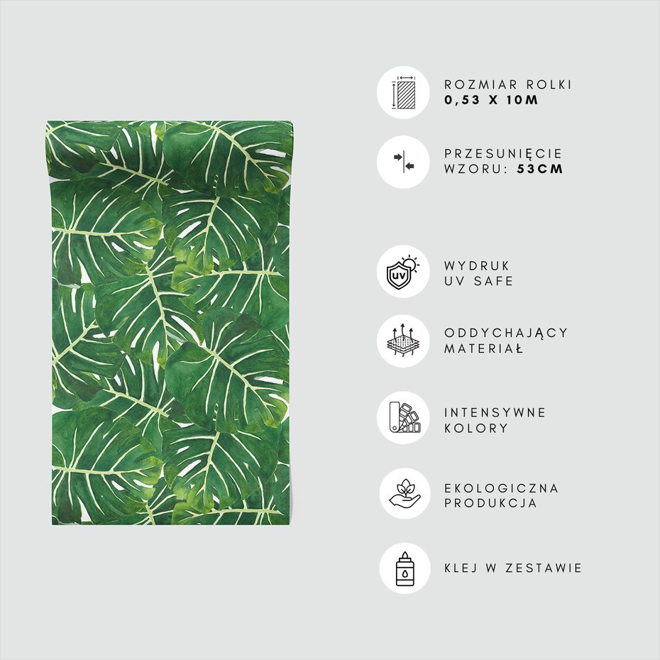 Tapeta - liście, monstera, natura