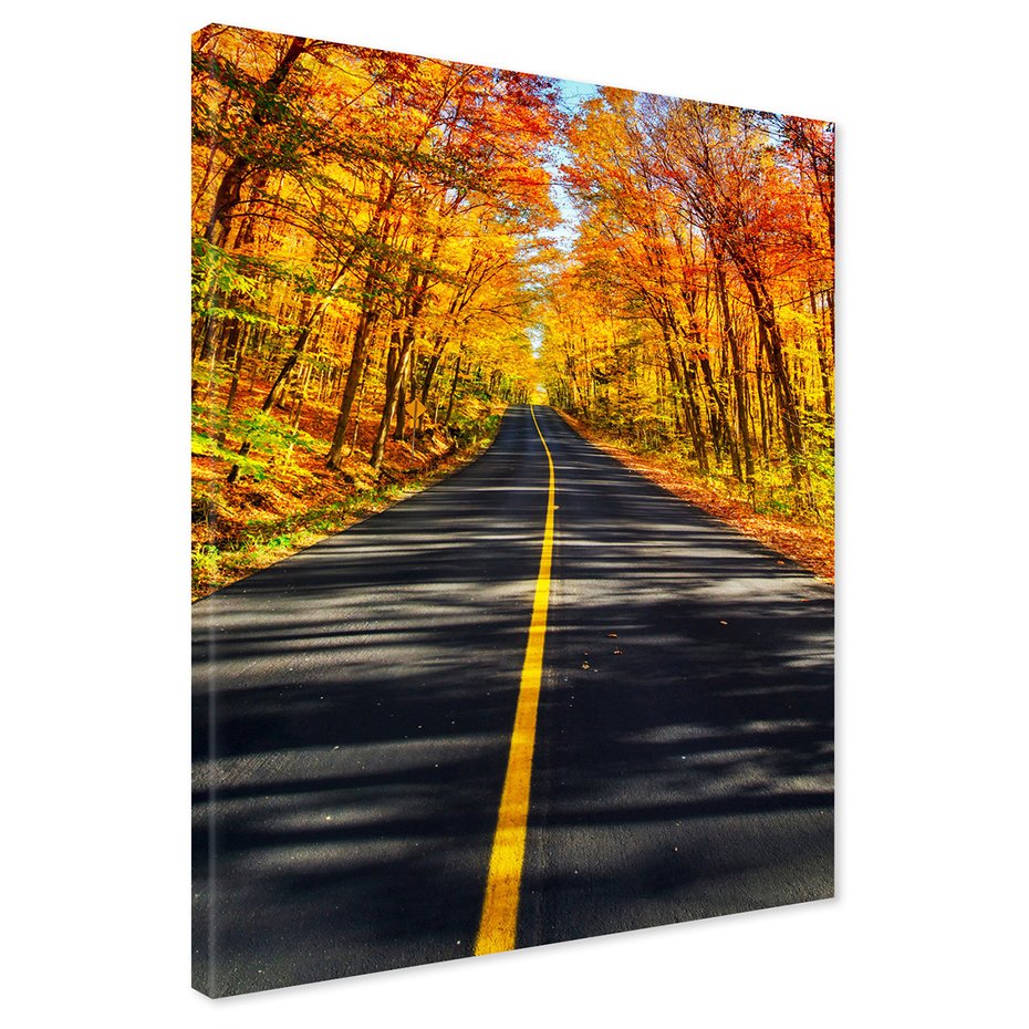 Obraz na płótnie - jesień, droga, las