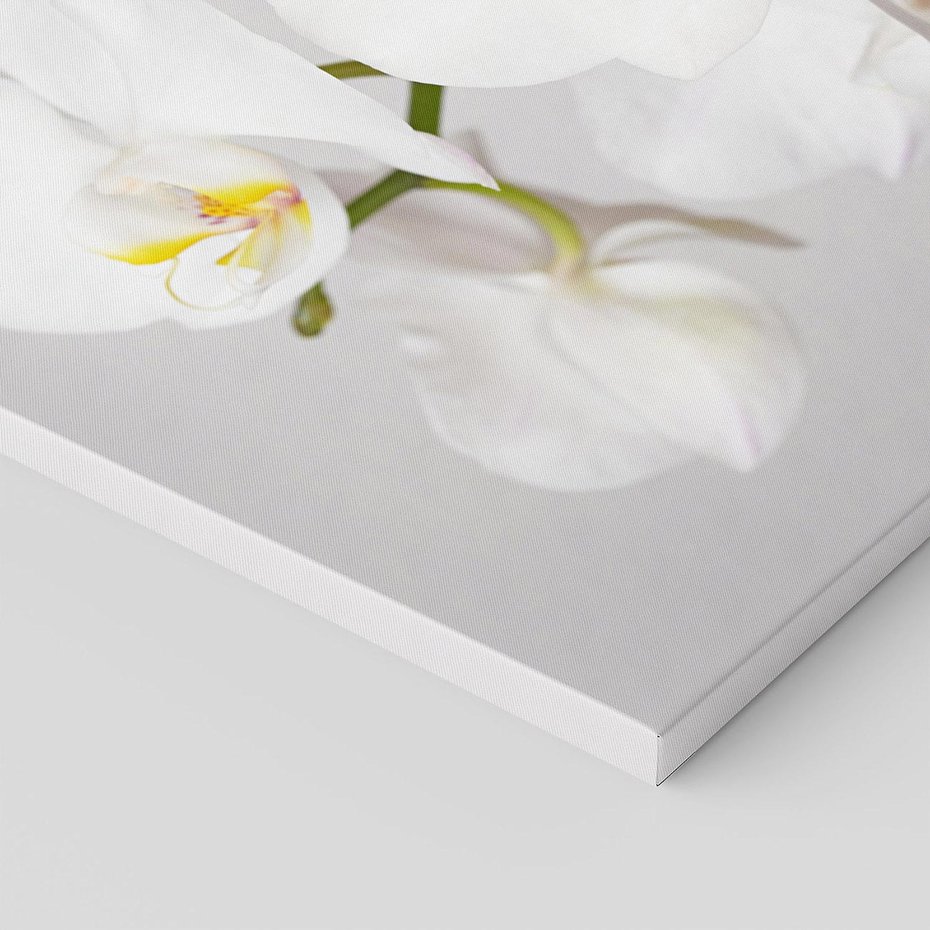 Obraz na płótnie - kwiat, orchidea, biały