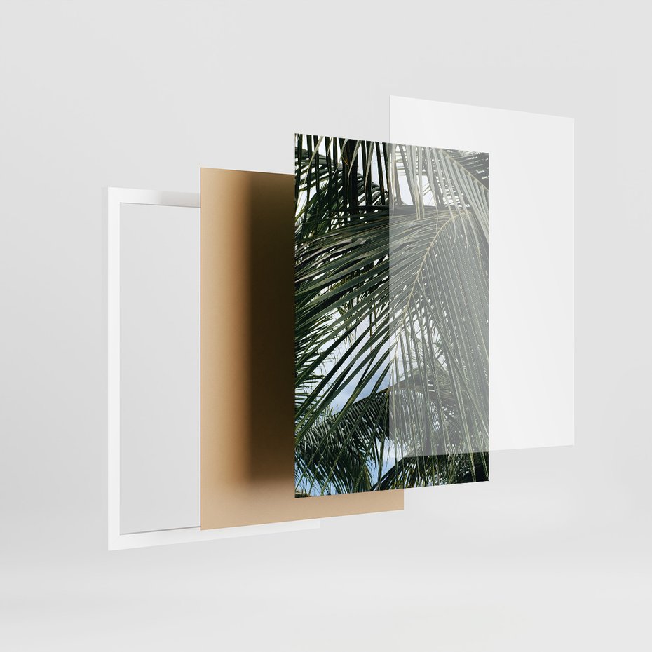 Zestaw obrazy w ramie, plakaty - liście,palmy,tropikalne - rama biała