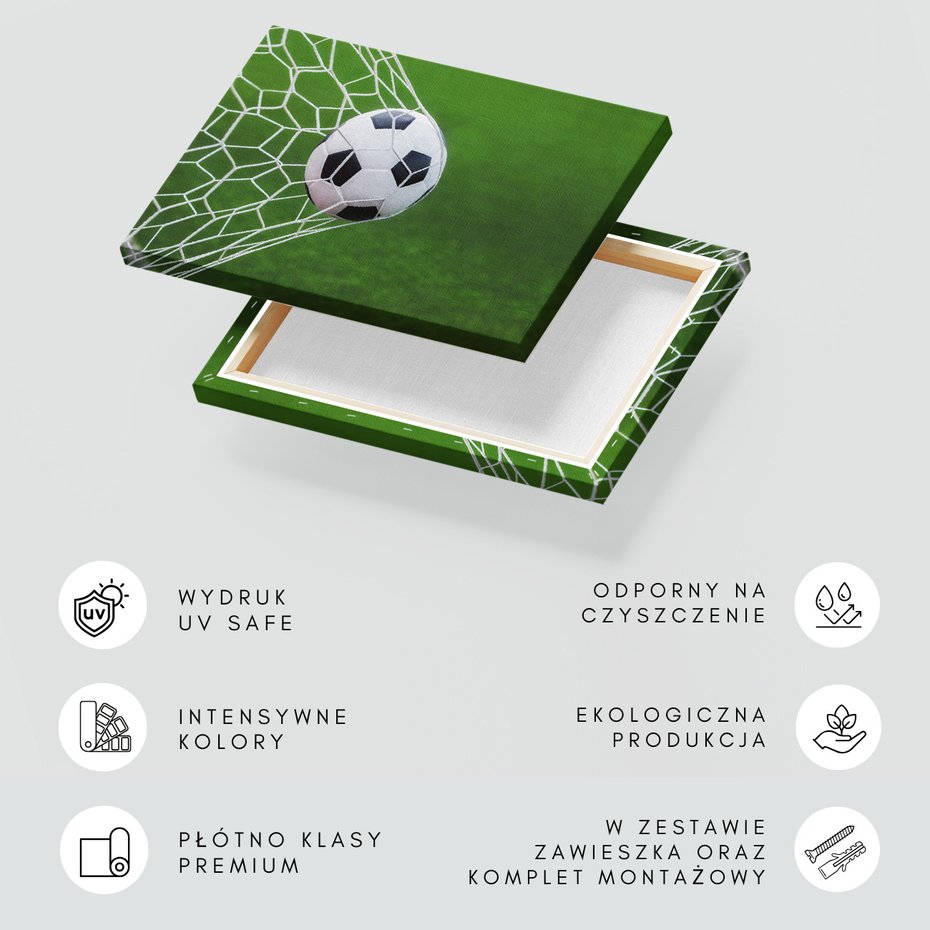 Obraz na płótnie - piłka, bramka, gol