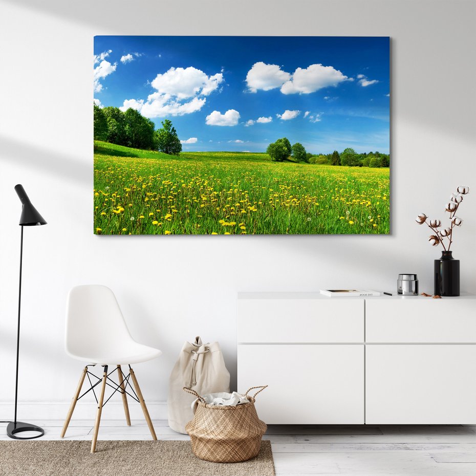 Obraz na płótnie - łąka, kwiaty, lato