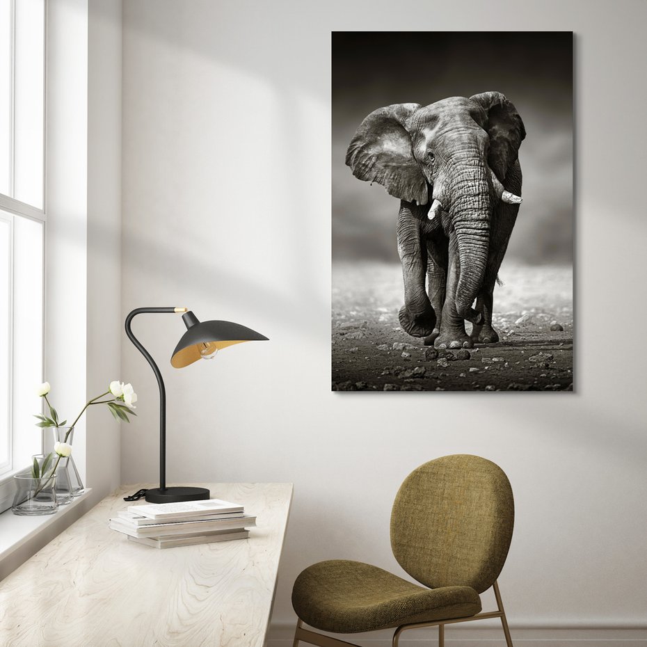 Obraz na płótnie - słoń, afrykański, ssak