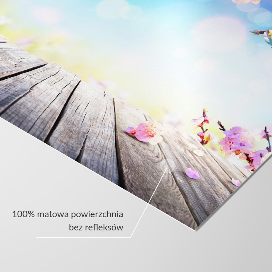 Fototapeta - kwiaty, wiosna, różowy