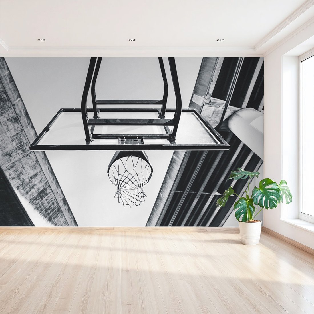 Fototapeta - koszykówka, sport, abstrakcja