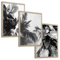 Zestaw obrazy w ramie, plakaty - liście, rośliny, natura - rama drewno