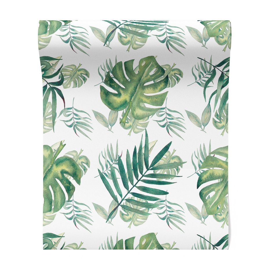 Tapeta - liście, monstera, natura