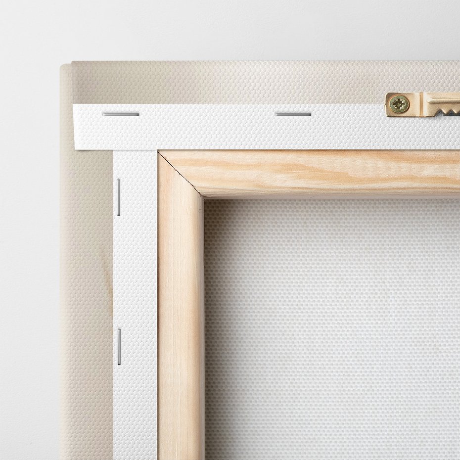 Obraz na płótnie - susz, trawa, beżowy