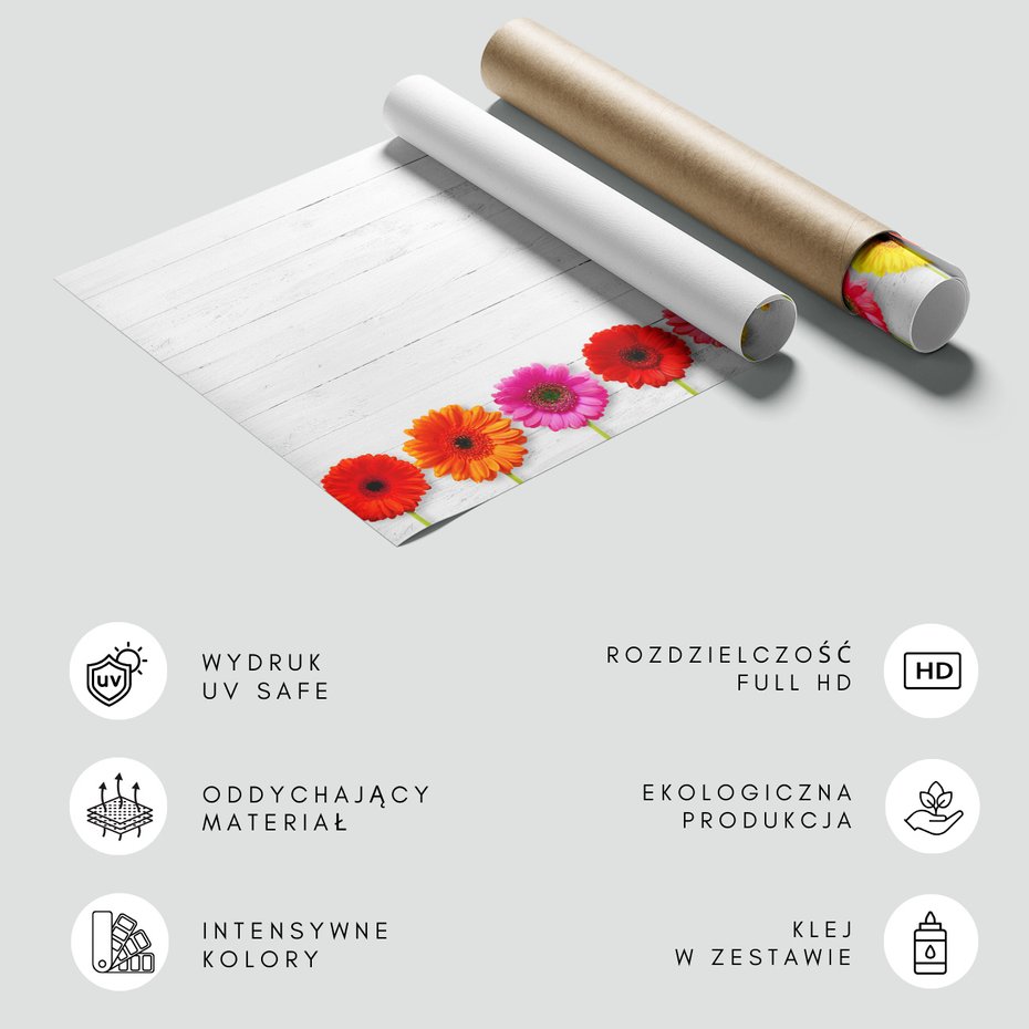 Fototapeta - kwiaty, gerbery, kolorowe