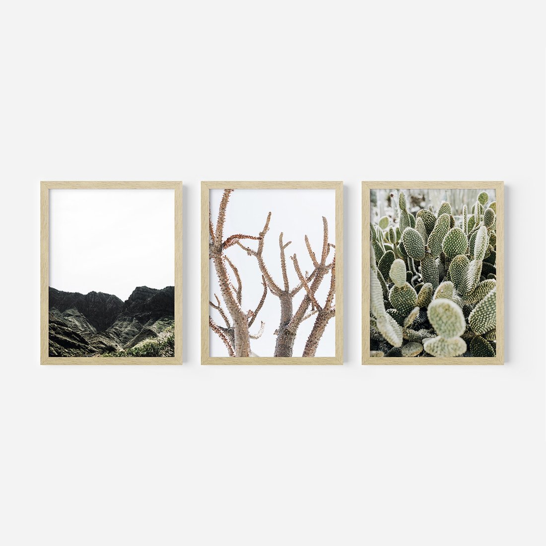 Zestaw obrazy w ramie, plakaty - góry, kaktus, rośliny - rama drewno