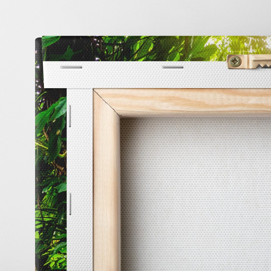 Obraz na płótnie - las, drzewa, ścieżka