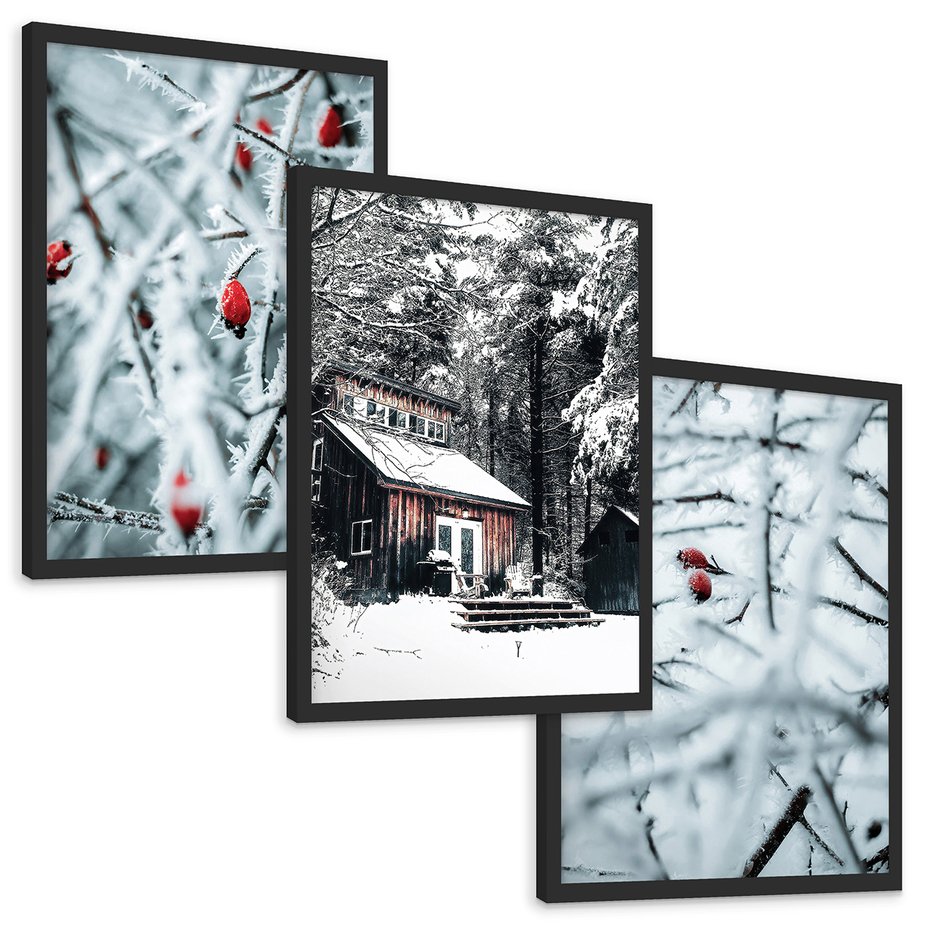 Zestaw obrazy w ramie, plakaty - zima, śnieg, mróz - rama czarna
