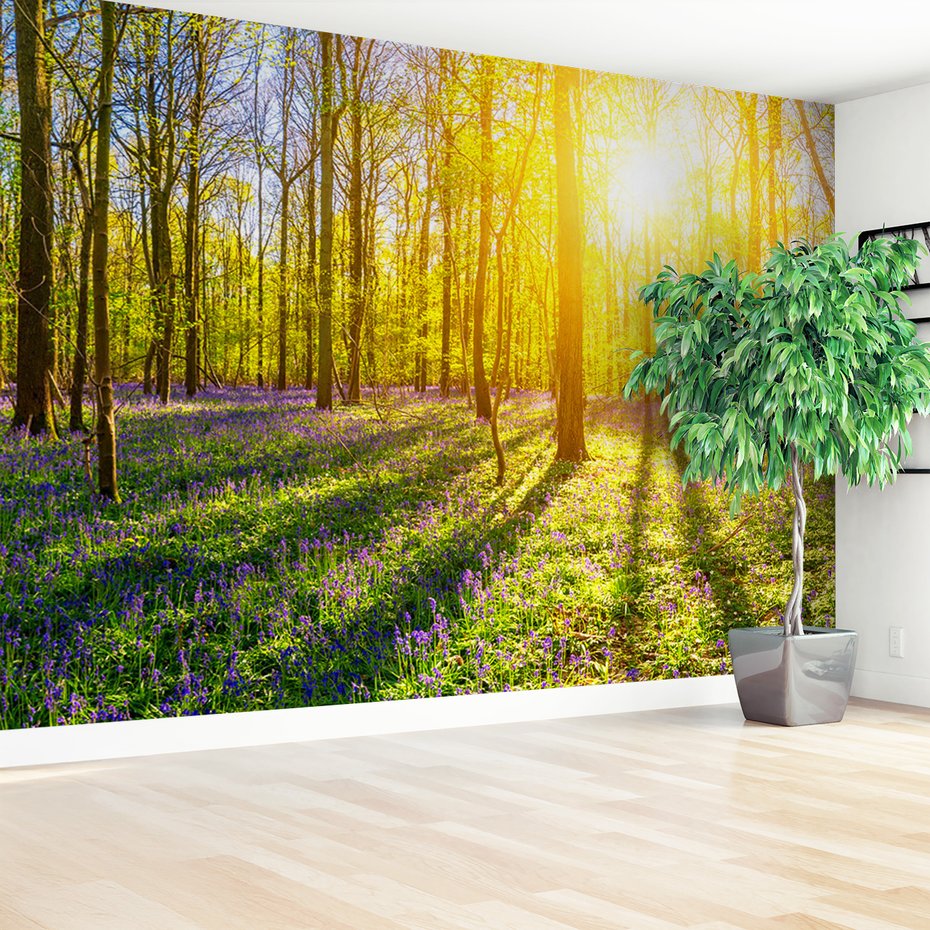 Fototapeta - las, kwiaty, słońce