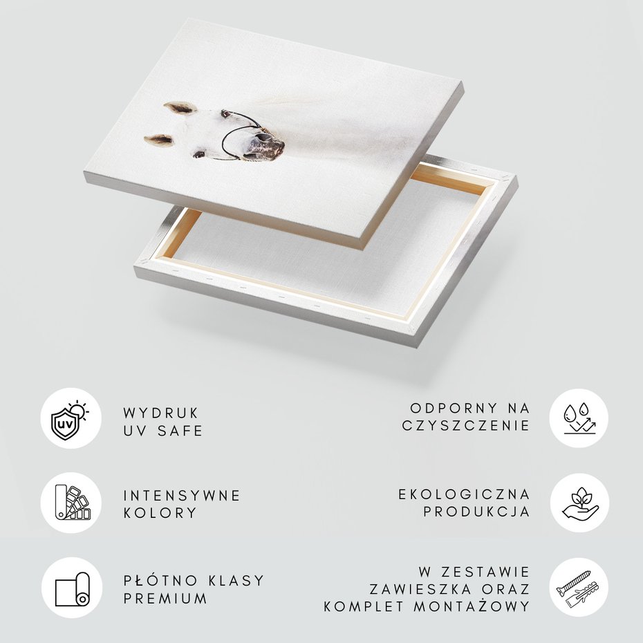 Obraz na płótnie - koń, zwierzę, portret