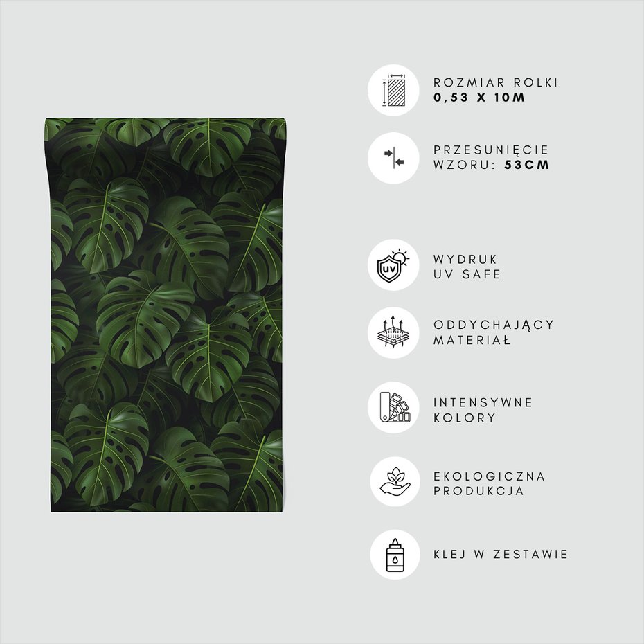 Tapeta - liście, monstera, tropiki