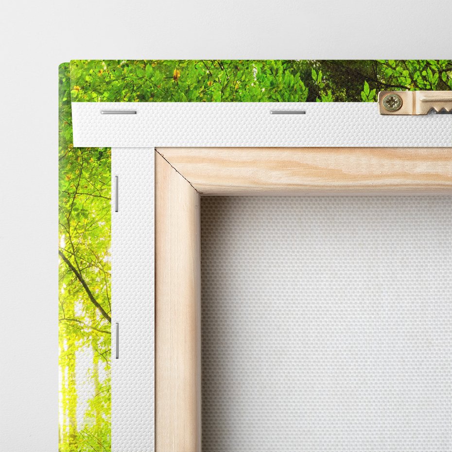 Obraz na płótnie - las, drzewa, przyroda