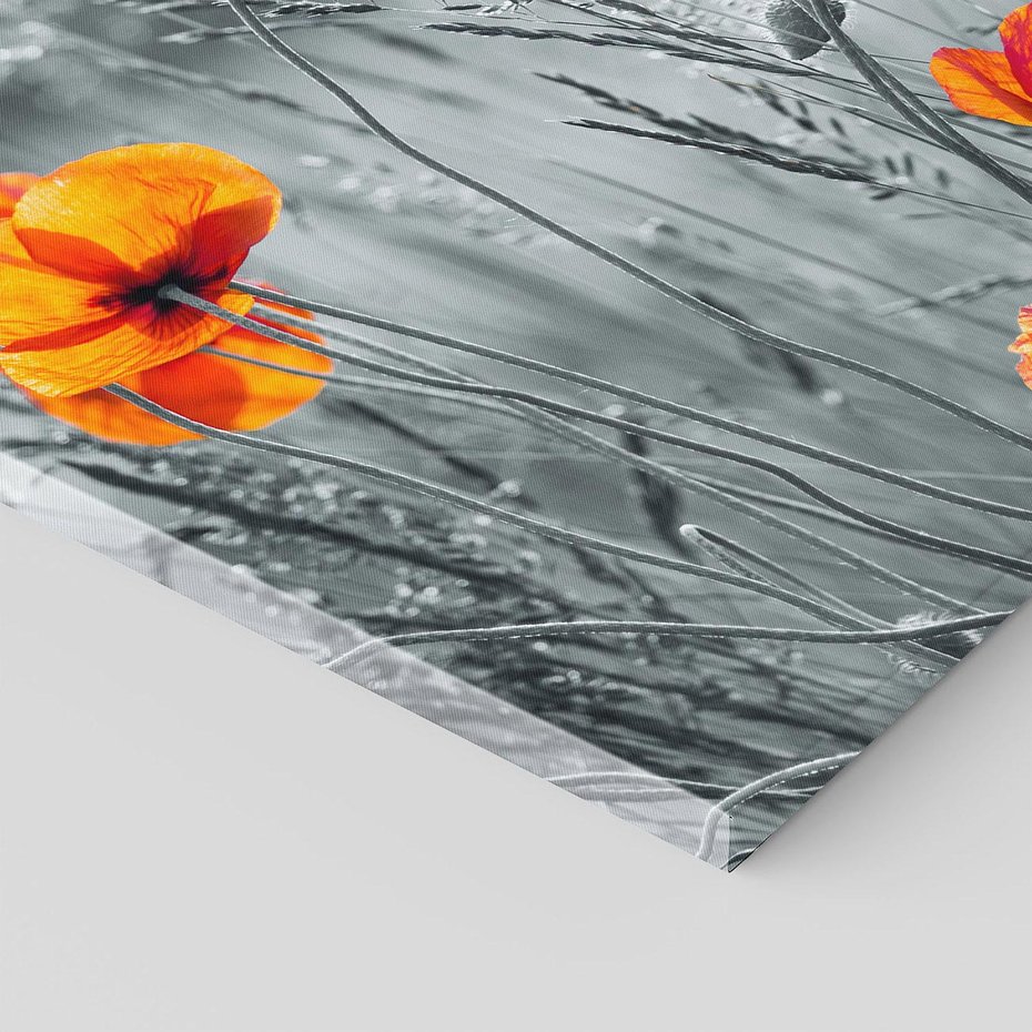 Obraz na płótnie - maki, kwiaty, natura