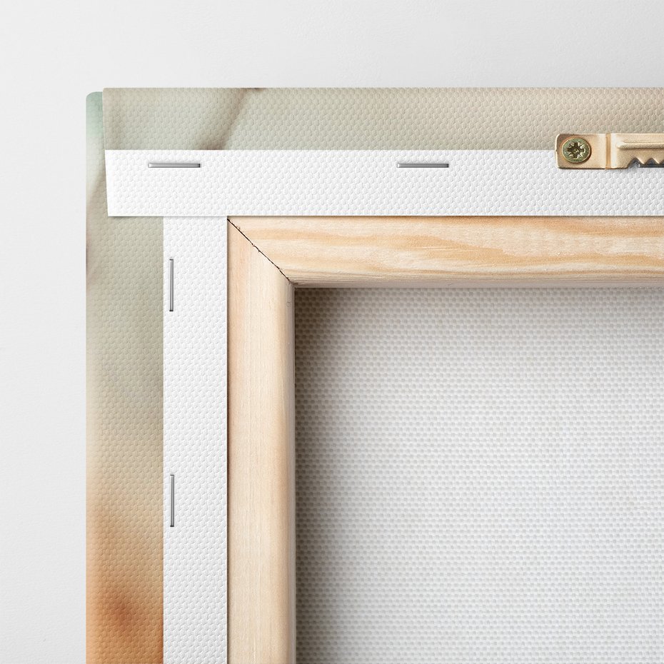 Obraz na płótnie - kwiat, zachód słońca, natura