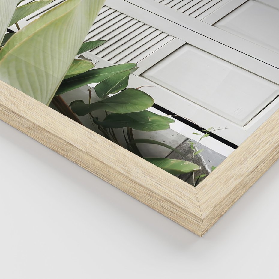 Zestaw obrazy w ramie, plakaty - liście, okno, ściana - rama drewno