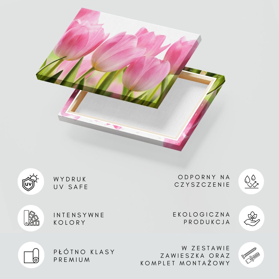 Obraz na płótnie - tulipany, kwiaty, różowe