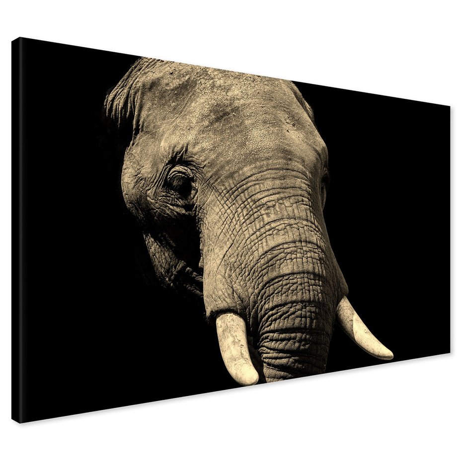 Obraz na płótnie - słoń, zwierzę, afrykański