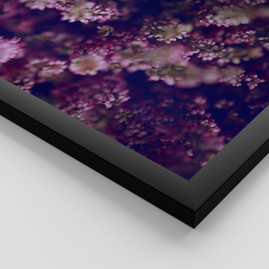 Zestaw obrazy w ramie, plakaty - lawenda, pole, kwiaty - rama czarna