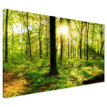 Obraz na płótnie - las, drzewa, słońce
