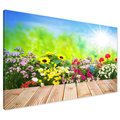 Obraz na płótnie - kwiaty, słoneczniki, ogród