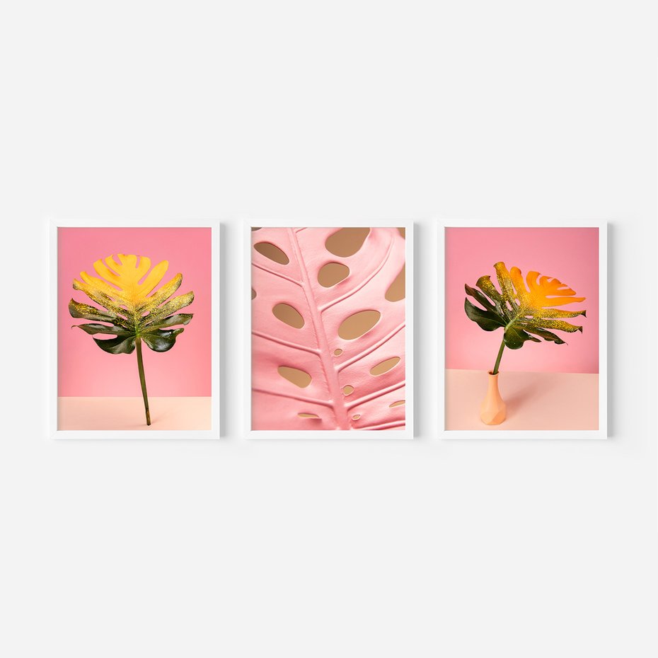 Zestaw obrazy w ramie, plakaty - liść, monstera, roślina - rama biała