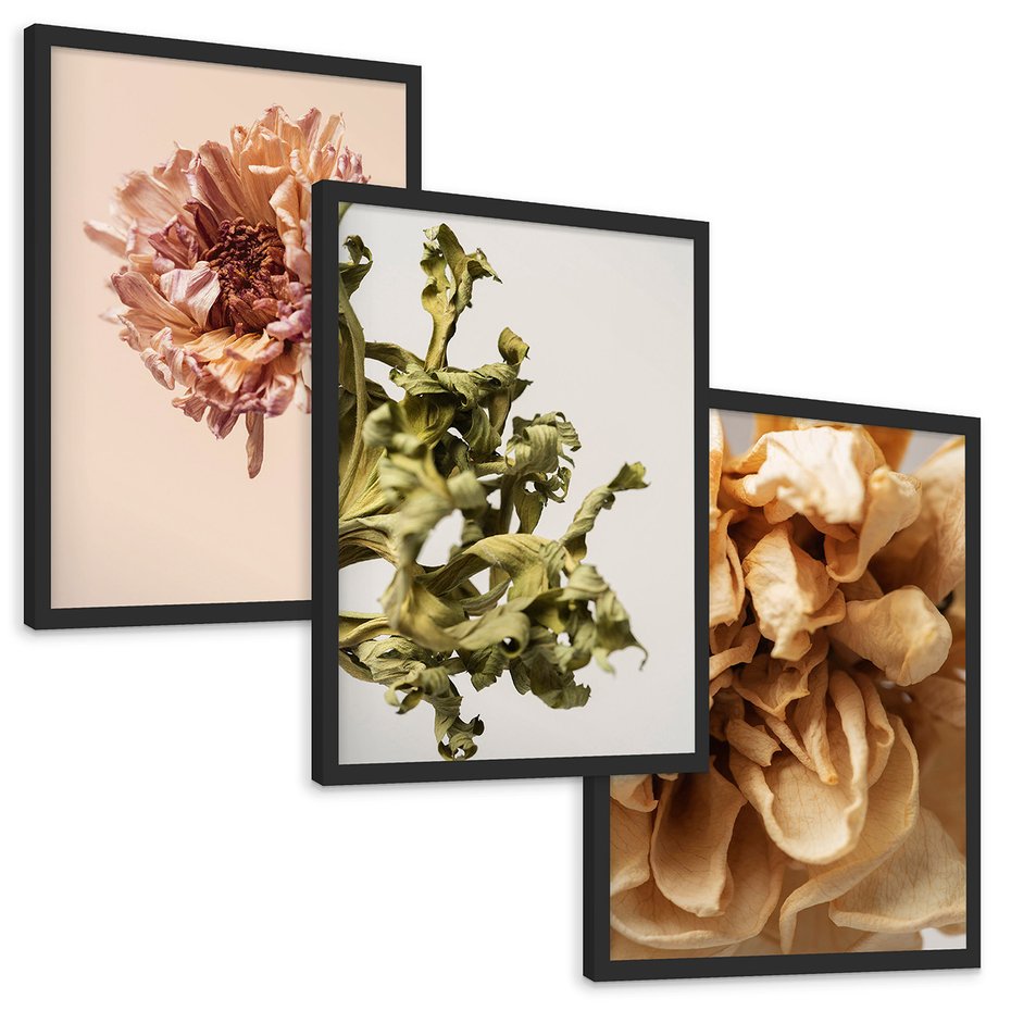 Zestaw obrazy w ramie, plakaty - kwiaty, suche, więdnięcie - rama czarna