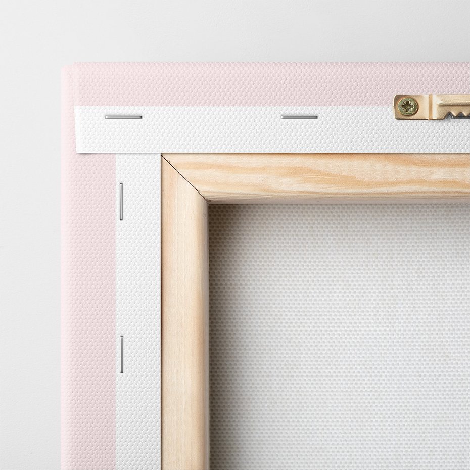 Obraz na płótnie - liść, monstera, roślina