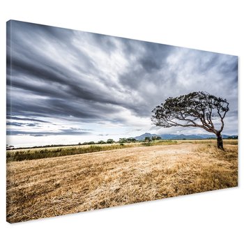 Obraz na płótnie - krajobraz, drzewo, chmury