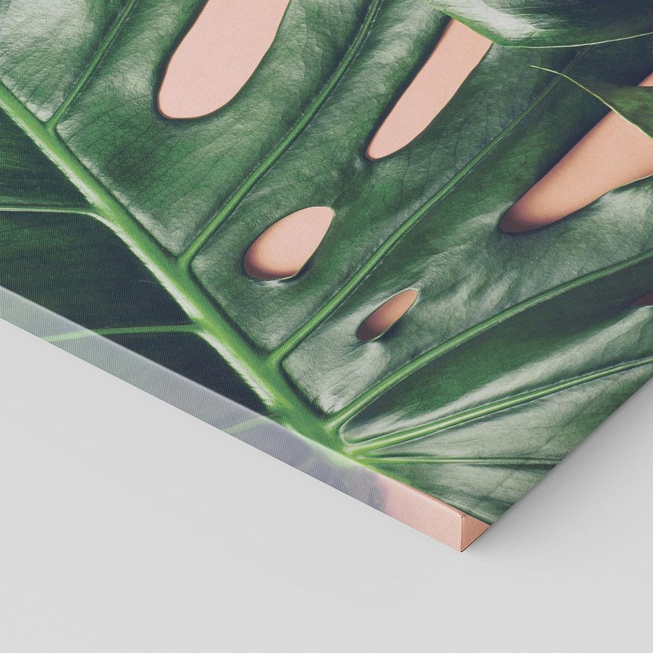 Obraz na płótnie - liście, monstera, roślina