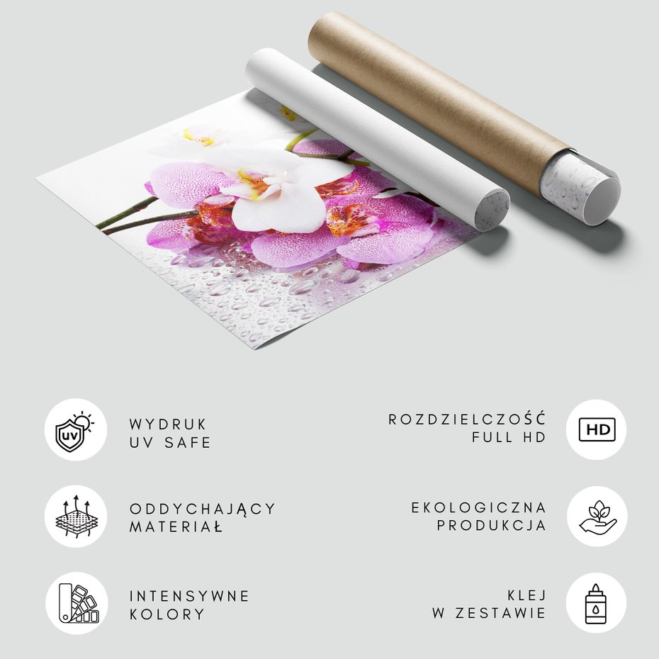 Fototapeta - kwiaty, orchidee, krople