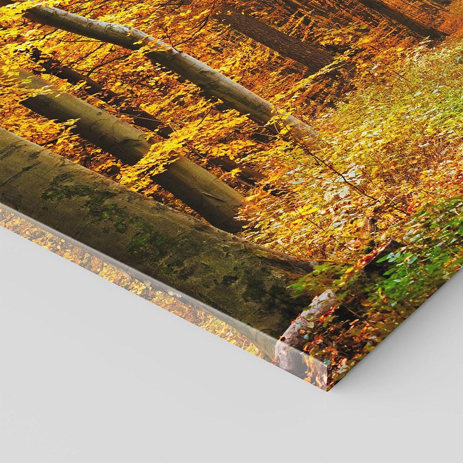 Obraz na płótnie - las, jesień, droga