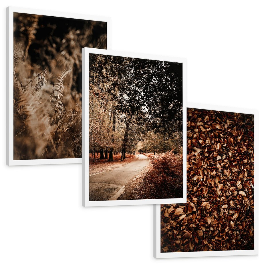 Zestaw obrazy w ramie, plakaty - jesień, liście, natura - rama biała