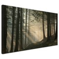 Obraz na płótnie - las, drzewa, mgła