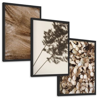 Zestaw obrazy w ramie, plakaty - rośliny, cienie, susz - rama czarna