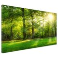 Obraz na płótnie - las, drzewa, natura
