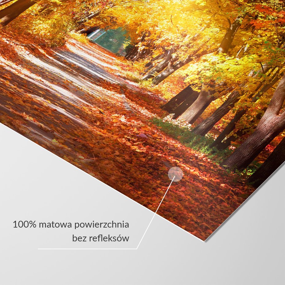 Fototapeta - jesień, liście, droga