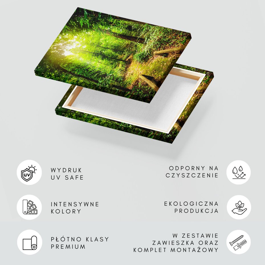 Obraz na płótnie - las, drzewa, ścieżka